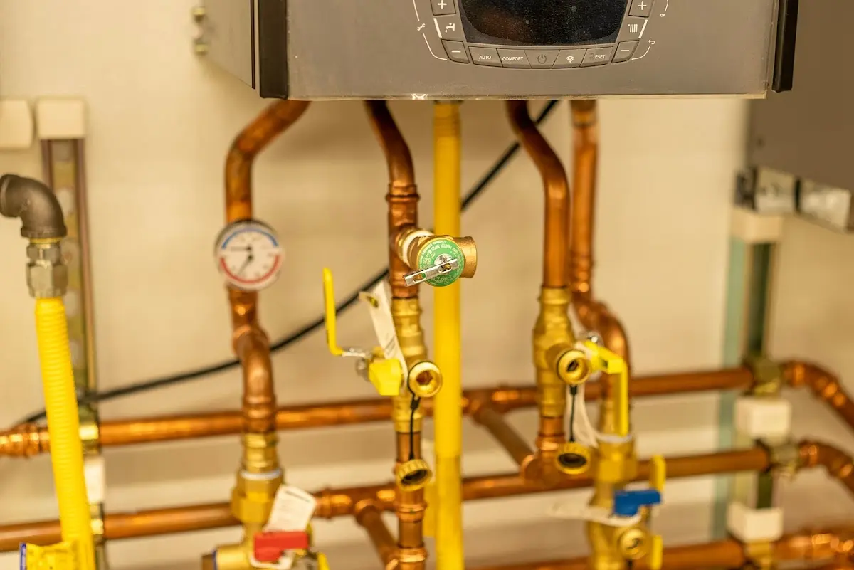 Licensed technician providing Emergency Plumbing for a homeowner in Whiteland